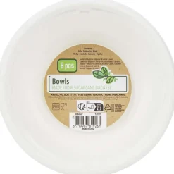 Bagasse Kommen