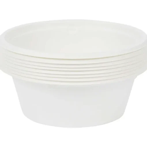Bagasse Kommen