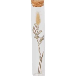 Buisje Met Droogbloemen