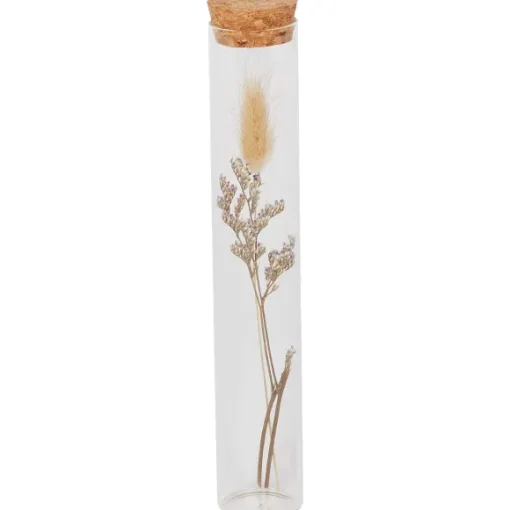 Buisje Met Droogbloemen