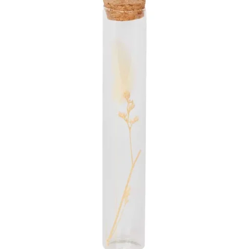 Buisje Met Droogbloemen