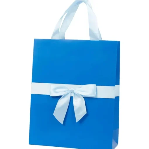 Cadeautas Met Strik