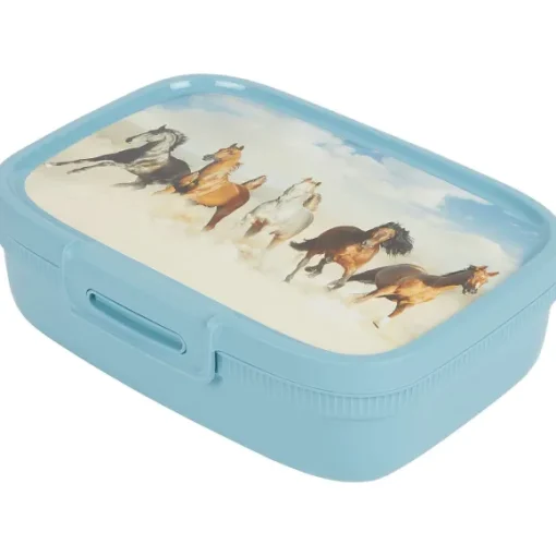 Curver Lunchbox Met Print
