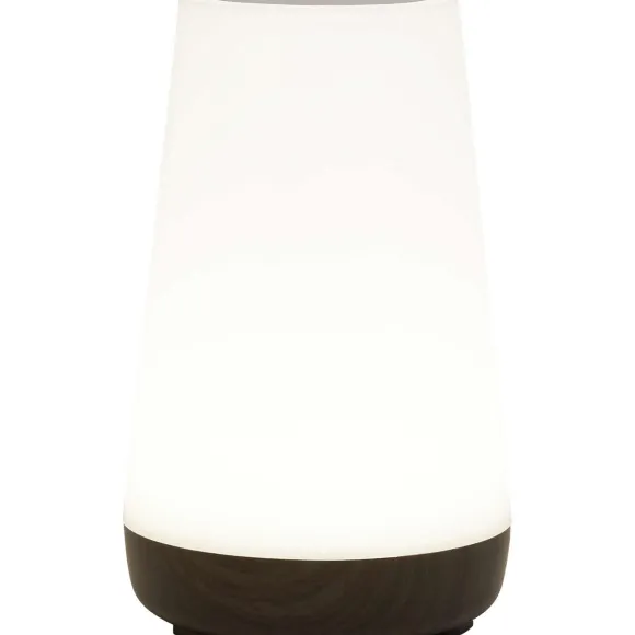 Deluxa Touch Lamp