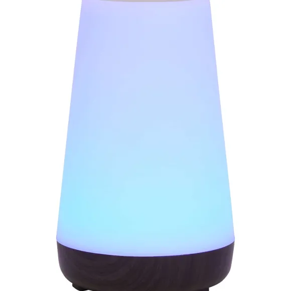 Deluxa Touch Lamp