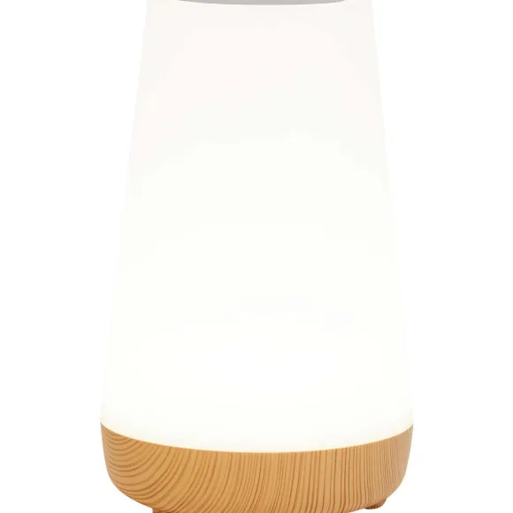 Deluxa Touch Lamp