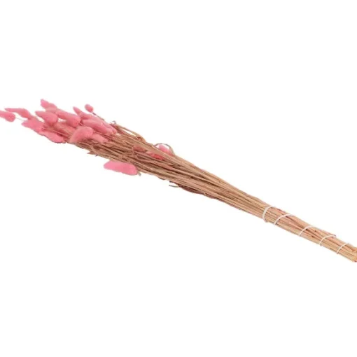Droogboeket