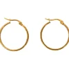 Gold Plated Oorbellen