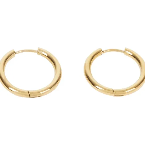 Gold Plated Oorbellen