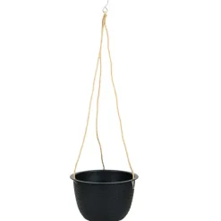 Hangbloempot Dijon