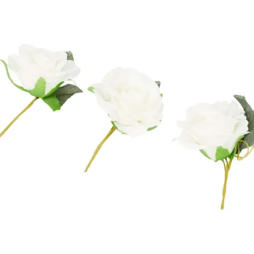 Home Accents Decoratierozen