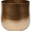 Home Accents En Bloempot