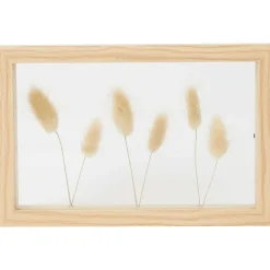 Home Accents Fotolijst Met Droogbloemen