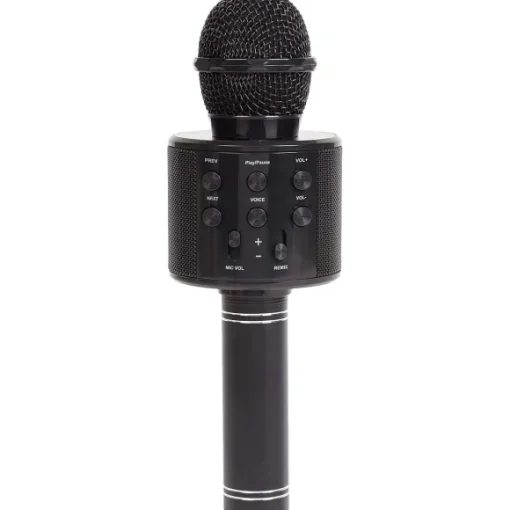 Karaoke-Microfoon