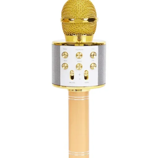 Karaoke-Microfoon