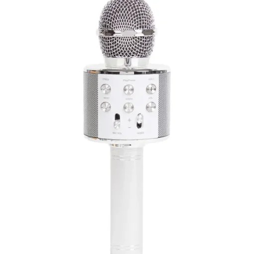 Karaoke-Microfoon