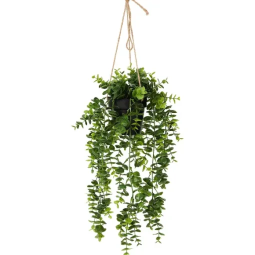 Kunsthangplant
