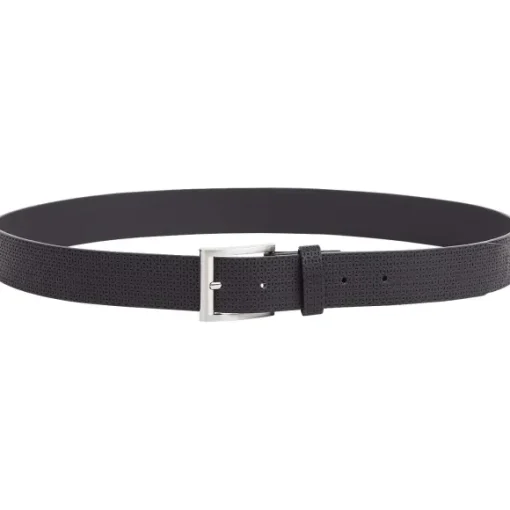 Kunstleren Riem
