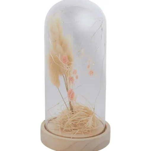 Stolp Met Droogbloemen En Licht