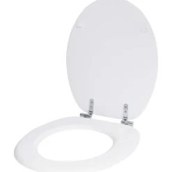 Toiletbril