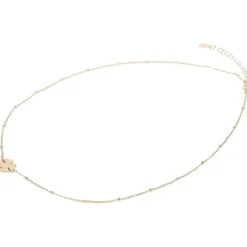 Vergulde Ketting